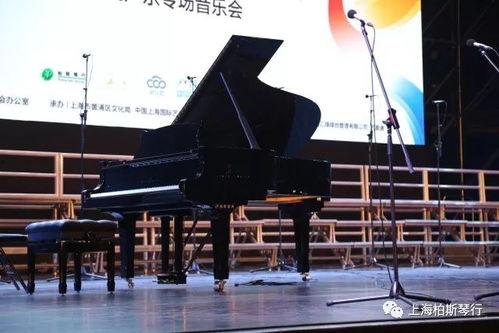 国产上海钢琴视频 第1张 国产上海钢琴视频 第1张