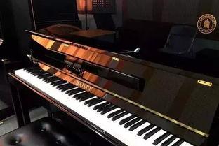 国产上海钢琴视频 第2张 国产上海钢琴视频 第2张